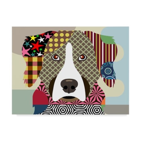Lanre Adefioye 'Bernese Mountain Dog' Canvas Art,18x24
